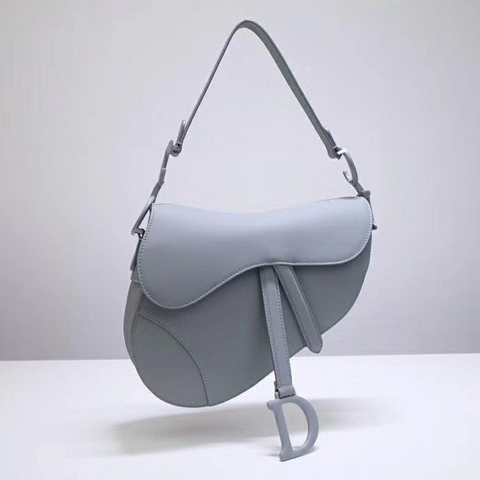 Christian Dior Saddle Bag-CD50176